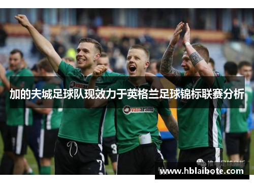加的夫城足球队现效力于英格兰足球锦标联赛分析